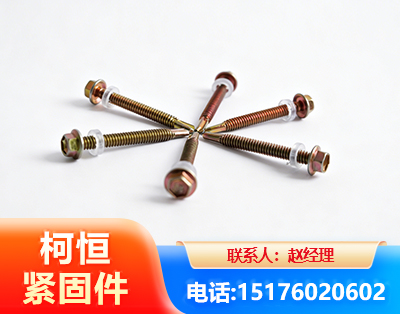 南阳六角钻尾丝